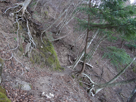 20190108hike (110)